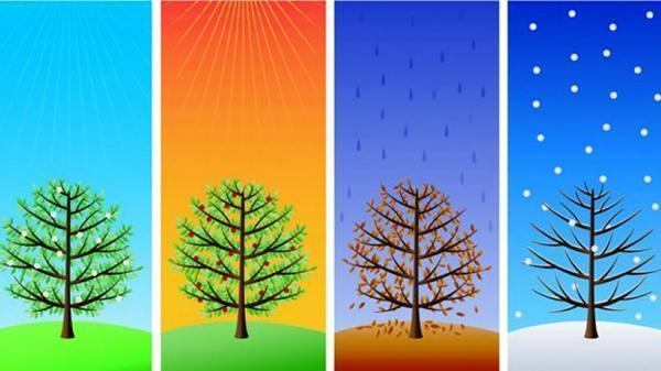 متولد چه فصلی هستید چه شخصیتی دارید ! ، تست روانشناسی ! متولد چه فصلی هستید چه شخصیتی دارید ! ، تست روانشناسی !